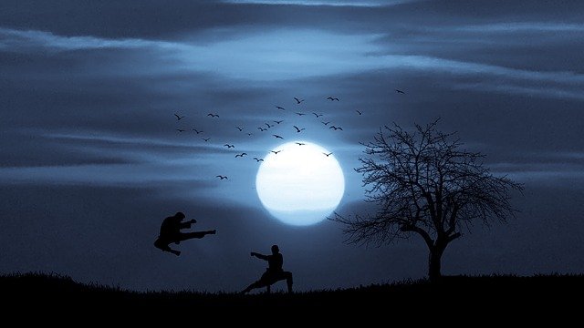 Free download action kung fu moonlight night free picture to be edited with GIMP free online image editor
