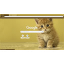 a cute cat  screen for extension Chrome web store in OffiDocs Chromium