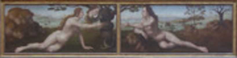 Free download Adam; Eve free photo or picture to be edited with GIMP online image editor