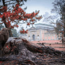 A Deer by the Stump  screen for extension Chrome web store in OffiDocs Chromium