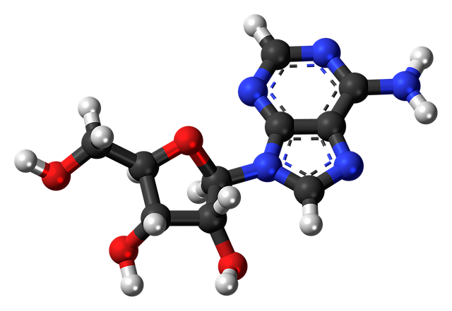 Free download Adenosine Deoxyribonucleoside -  free illustration to be edited with GIMP free online image editor