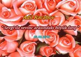 Free download Adil Sevgi Ve Sevinc free photo or picture to be edited with GIMP online image editor