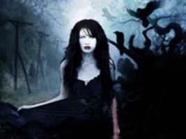 Free download Adira free photo or picture to be edited with GIMP online image editor