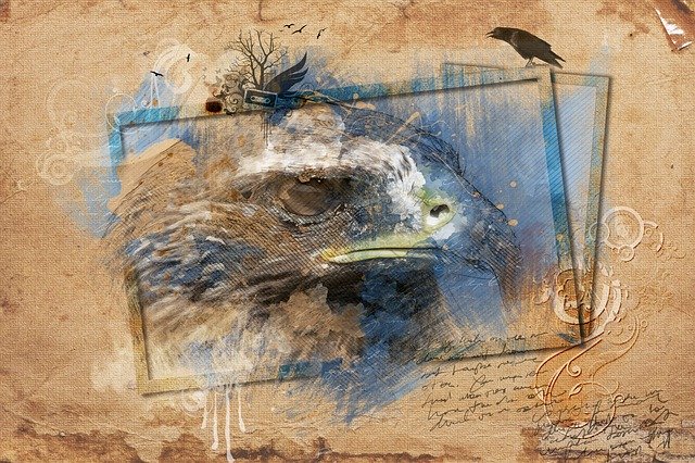 Download gratuito Adler Raptor Bird Of Prey illustrazione gratuita da modificare con l'editor di immagini online GIMP