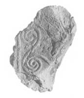 Free download Administrative Seal free photo or picture to be edited with GIMP online image editor