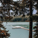 A Dock on a Lake near the Woods  screen for extension Chrome web store in OffiDocs Chromium