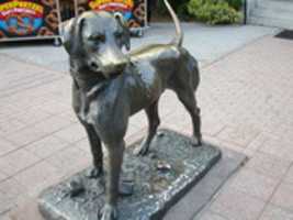 Free download A Dog Statue at Roger Williams Zoo? free photo or picture to be edited with GIMP online image editor