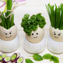 Adorable egg shells  screen for extension Chrome web store in OffiDocs Chromium