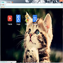AdOrAbLe fUnNy cAt mIx  screen for extension Chrome web store in OffiDocs Chromium