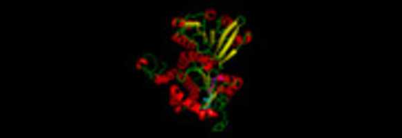 Free download ADS Image Of Pymol free photo or picture to be edited with GIMP online image editor