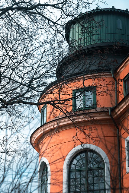 Free download adventure animal beautiful bench free picture to be edited with GIMP free online image editor