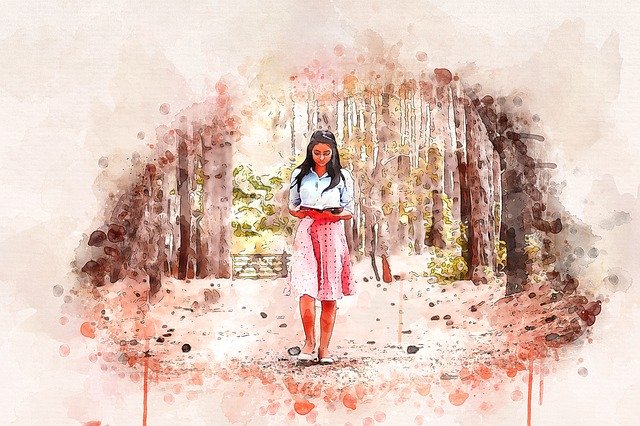 Free download Adventure Nature Forest -  free illustration to be edited with GIMP free online image editor