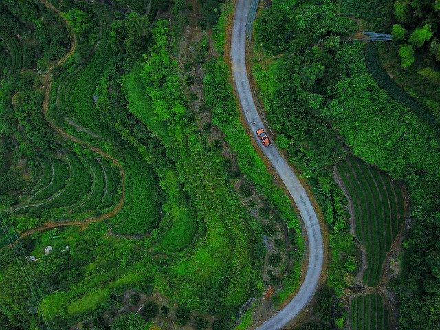 Descărcare gratuită Aerial Route Forest - fotografie sau imagini gratuite pentru a fi editate cu editorul de imagini online GIMP