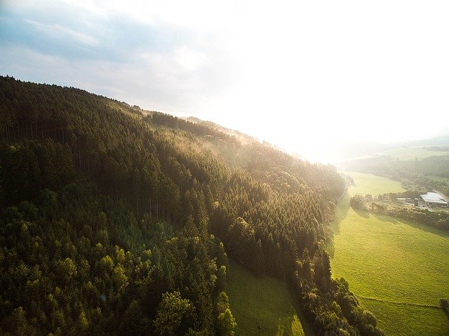 Free download Aerial View Forest Sauerland -  free photo or picture to be edited with GIMP online image editor