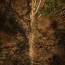 Aerial View of Forest Trail in Styria, Austria  screen for extension Chrome web store in OffiDocs Chromium