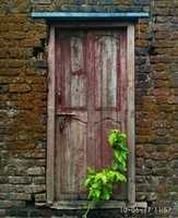 Free download Aesthetic old door free photo or picture to be edited with GIMP online image editor