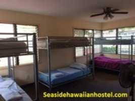 Free download Affordable Accommodation Available In Honolulu Seaside Hostel  free photo or picture to be edited with GIMP online image editor
