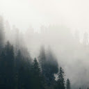 A foggy forest with trees and fog  screen for extension Chrome web store in OffiDocs Chromium