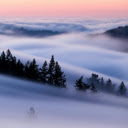 A foggy landscape with trees and mountains  screen for extension Chrome web store in OffiDocs Chromium