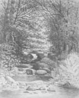 Free download A Forest Cascade at Hiram, Maine free photo or picture to be edited with GIMP online image editor