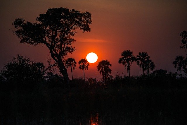 Libreng download Africa Botswana Nature - libreng larawan o larawan na ie-edit gamit ang GIMP online na editor ng imahe