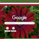 African Daisy  screen for extension Chrome web store in OffiDocs Chromium