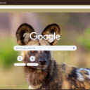 African Wild Dog  screen for extension Chrome web store in OffiDocs Chromium