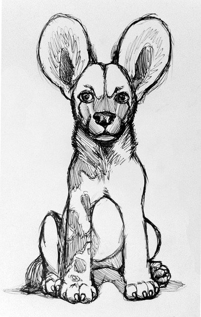 Téléchargement gratuit de dessin de chien sauvage d'Afrique - illustration gratuite à éditer avec l'éditeur d'images en ligne gratuit GIMP