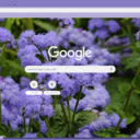 Ageratum  screen for extension Chrome web store in OffiDocs Chromium