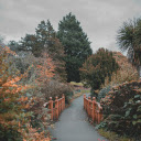A Gloomy Day at a Park  screen for extension Chrome web store in OffiDocs Chromium
