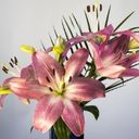 A Graceful Bouquet of Lilium Stargazer  screen for extension Chrome web store in OffiDocs Chromium