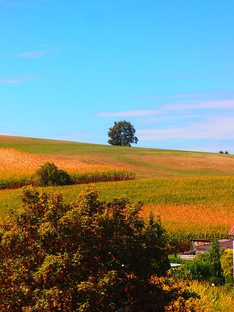 免费下载农业景观自然 - 使用 GIMP 在线图像编辑器编辑的免费照片或图片
