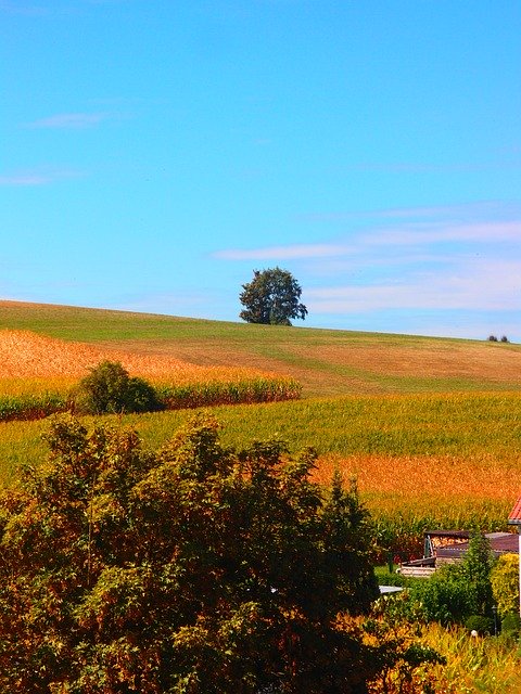 Download grátis Agricultura Paisagem Natureza - foto ou imagem gratuita a ser editada com o editor de imagens online do GIMP