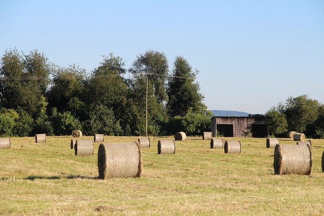 Free picture Agriculture Nature Round Bales -  to be edited by GIMP free image editor by OffiDocs