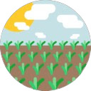 Agricurious  screen for extension Chrome web store in OffiDocs Chromium