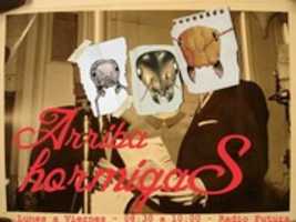 Free download AH free photo or picture to be edited with GIMP online image editor