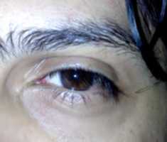 Free picture Ahmed True Love Torah Pictures Of Eyes to be edited by GIMP online free image editor by OffiDocs