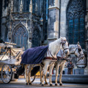 A Horse Drawn Carriage outside St. Stephens Cathedral  screen for extension Chrome web store in OffiDocs Chromium