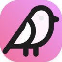 AI Bird  screen for extension Chrome web store in OffiDocs Chromium