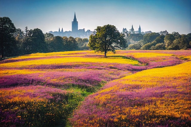 Free download ai generated flowers meadow castle free picture to be edited with GIMP free online image editor
