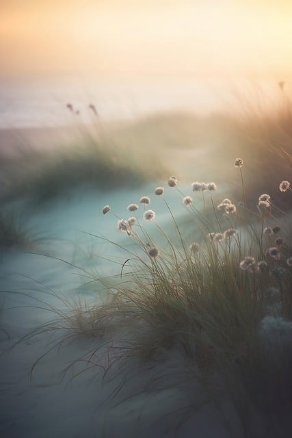 Free download ai generated grass beach sea wind free picture to be edited with GIMP free online image editor