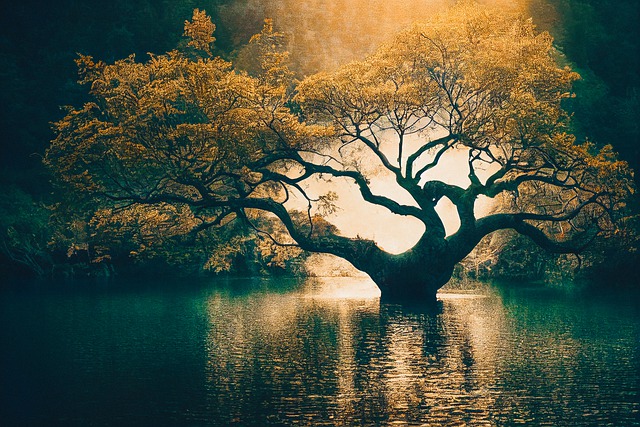 Free download ai generated tree lake fantasy free picture to be edited with GIMP free online image editor