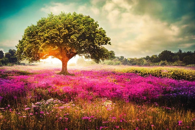 Free download ai generated tree meadow sunlight free picture to be edited with GIMP free online image editor