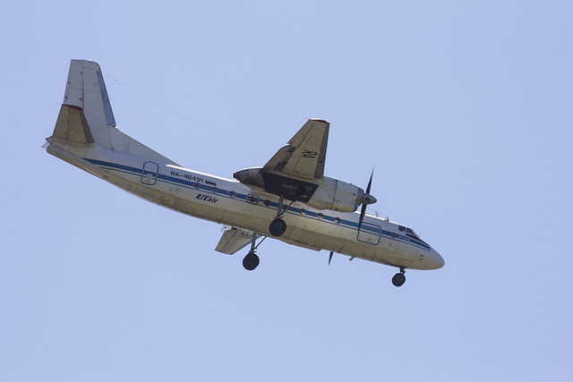 Free download aircraft airplane flight flying free picture to be edited with GIMP free online image editor