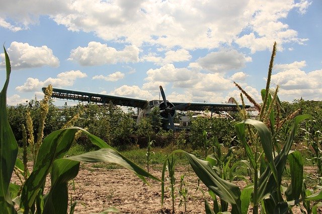 Free picture Aircraft Cornfield Old Crash -  to be edited by GIMP free image editor by OffiDocs