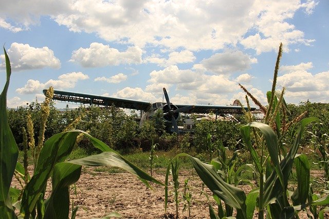 Muat turun percuma Aircraft Cornfield Old Crash - foto atau gambar percuma untuk diedit dengan editor imej dalam talian GIMP