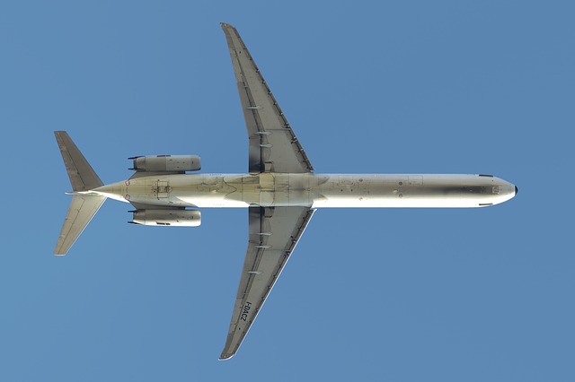 Gratis download vliegtuig vliegtuig Alitalia gratis foto om te bewerken met GIMP gratis online afbeeldingseditor