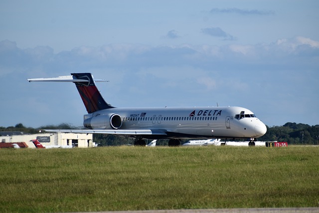 Free download airplane delta airlines airport free picture to be edited with GIMP free online image editor