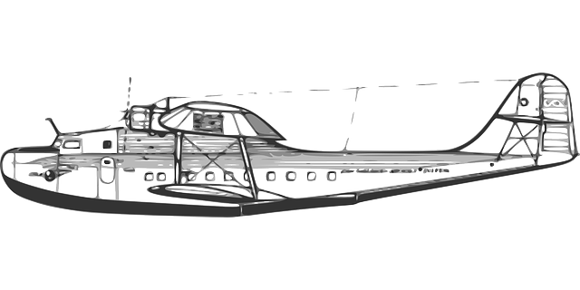 Darmowe pobieranie Samolot Latający Powietrze - Darmowa grafika wektorowa na Pixabay darmowa ilustracja do edycji za pomocą GIMP darmowy edytor obrazów online