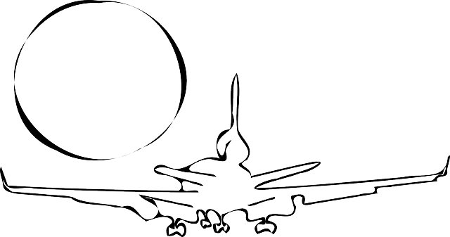Free download Airplane Take Off Passenger Plane - Free vector graphic on Pixabay free illustration to be edited with GIMP free online image editor